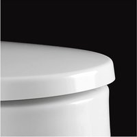 Delight mit Absenkautomatik WC-Sitz weiß 492000-D09999 - Pressalit von PRESSALIT