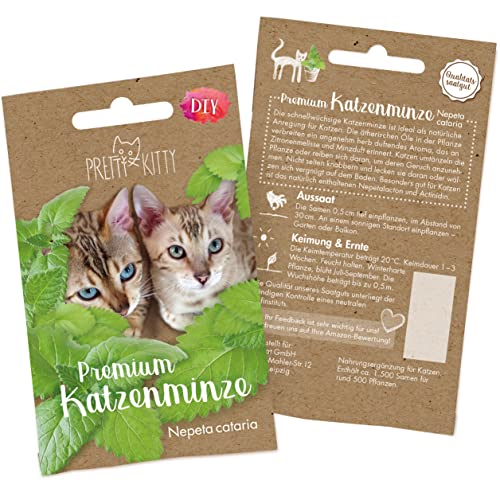 Pretty Kitty Katzenminze Samen: Premium Catnip Katzenminze Saatgut zur Anzucht Katzenminze Pflanzen, 1.000x Nepeta Cataria Samen für Topf und Garten von PRETTY KITTY