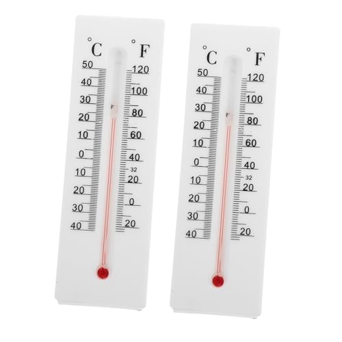 PRETYZOOM 1 Satz Wandmontierter Schlüsselversteck Mit Thermometer Wetterfestes Design Für Außenbereich Stabile Kunststoffkonstruktion Praktischer Schlüsselhalter Für Zuhause 2 Stück von PRETYZOOM