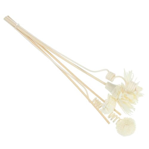 PRETYZOOM 1 Satz Wohnkultur Duftdiffusoren Trockenblumen-Diffusorstäbchen getrocknete Blumen Diffuser für ätherische Öle für zu Hause Haushaltsdiffusorblumen Diffusor PRETYZOOM 1 Satz Wohnkultur Duftdiffusoren Trockenblumen-Diffusorstäbchen getrocknete Blumen Diffuser für ätherische Öle für zu Hause Haushaltsdiffusorblumen Diffusor von PRETYZOOM