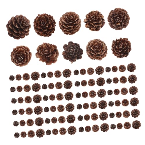 PRETYZOOM 100 Stück Natürliche Dekorationen Rustikal Langlebig für Weihnachtsbaum DIY Basteln Tischdeko Herbst Thanksgiving Festliche Ornamente von PRETYZOOM