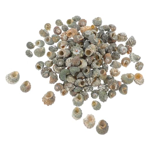 PRETYZOOM 100stücke Natur-seeschnecken Deko Kleine Conch Muscheln Für Aquarien Und Bastelprojekte Für Einsiedlerkrabben Ersatzschalen Dekorative Elemente Für Zuhause Und Teiche von PRETYZOOM