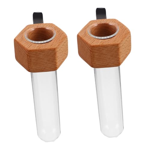 PRETYZOOM 2 Stück Auto Vasen Clip aus Holz mit Glasröhre Blumenhalter für Lüftungsschlitze Stilvolle Auto Innenraumdekoration für und Wasserpropagation Geeignet für Verschiedene von PRETYZOOM