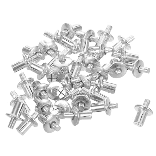PRETYZOOM 200 Stück Aluminium Schlagnieten Dome Drive Rivets mit Halbrundem Kopf Schnelle Montage Stabile Verbindung Geeignet für Möbel Maschinenbau und Bauwesen von PRETYZOOM
