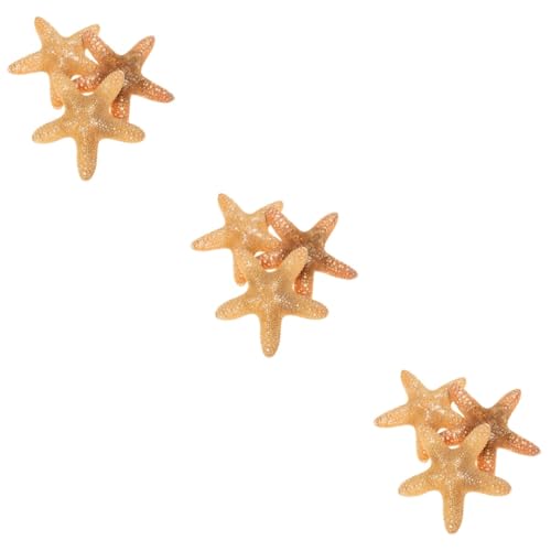 PRETYZOOM 3 Sätze Dekorative Seesterne Natürliche Meerestier Ornamente Für Bücherregale Schreibtische Und Fischbecken Sicher Für Aquarien 3 Stücke * 3 von PRETYZOOM