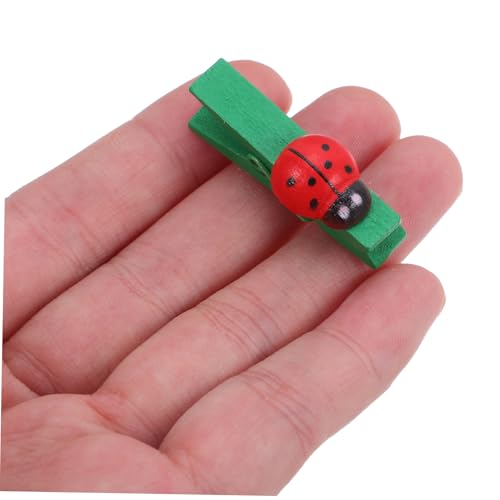 PRETYZOOM 30 Stück Teiliges Mini Holzklammer mit Marienkäfer Design Stabile Fotoklammern und Memo Kartenhalter Kleine Notizklammern für DIY Bastelprojekte Hochzeit und Dekoration von PRETYZOOM
