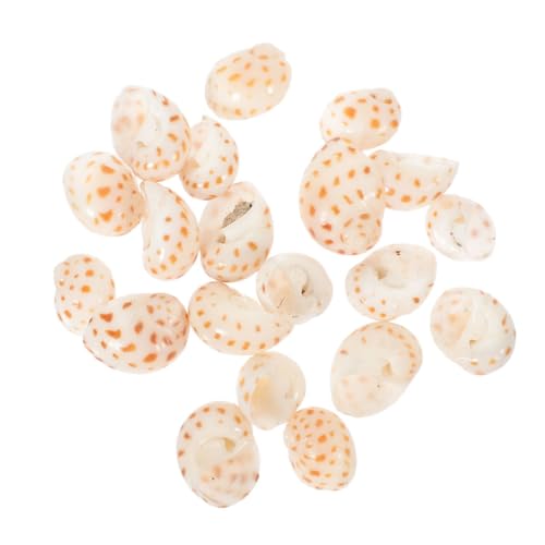 PRETYZOOM 40stücke Natur Muscheln Deko Meer Conch Schalen Aquarium Handwerk Ornament Klein Schmuck Für Schreibtisch Hochzeit von PRETYZOOM