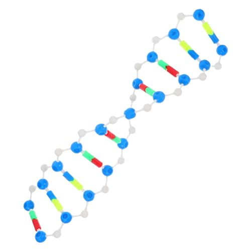 PRETYZOOM Dna Demonstrationsmodell Doppelhelix Molekülbausatz Für Biologie Unterricht Klassenzimmer Labor Lehrmittel Ab Jahren von PRETYZOOM