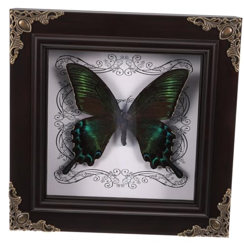 PRETYZOOM Schmetterlingsexemplar Echte Schmetterlinge Kunstwerk Wandbehang Ornament Rahmen Wohndekoration PRETYZOOM Schmetterlingsexemplar Echte Schmetterlinge Kunstwerk Wandbehang Ornament Rahmen Wohndekoration von PRETYZOOM