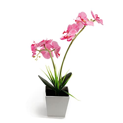 PRETYZOOM Künstliche Orchideen LED Blumenlicht für Heimdekoration Verstellbare Topf Nachtlampe aus Langlebigem Material Romantische Atmosphäre für Schlafzimmer und Wohnzimmer PRETYZOOM Künstliche Orchideen LED Blumenlicht für Heimdekoration Verstellbare Topf Nachtlampe aus Langlebigem Material Romantische Atmosphäre für Schlafzimmer und Wohnzimmer von PRETYZOOM