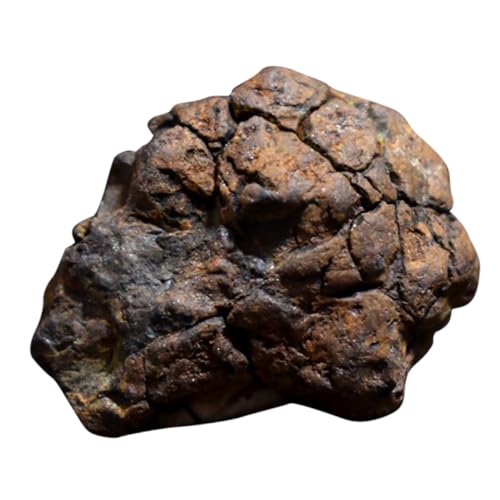 PRETYZOOM Lithosiderit Meteorit Exemplar Unregelmäßig Wissenschaftliches Lehrmaterial für Unterricht Dekor Natürlicher Meteoritenstein Lehrprobe Zufällige Farbe PRETYZOOM Lithosiderit Meteorit Exemplar Unregelmäßig Wissenschaftliches Lehrmaterial für Unterricht Dekor Natürlicher Meteoritenstein Lehrprobe Zufällige Farbe von PRETYZOOM