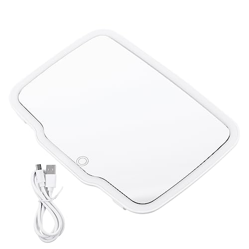 PRETYZOOM Makeup Mirror für Auto Verstellbarer Dressing Spiegel mit Natürlichem Tageslicht Tragbarer Vanity Mirror Passend Kompakt und Langlebig Weiße Beleuchtung von PRETYZOOM