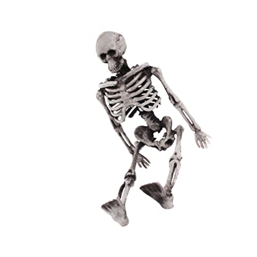 PRETYZOOM Streich- Requisite Halloween-Skelettdekorationen Ganzkörper-Realistische Menschliche Skelette mit Beweglichen Gelenken für Spukhaus-Requisiten-Dekoration Halloween- Skelett- Requisite PRETYZOOM Streich- Requisite Halloween-Skelettdekorationen Ganzkörper-Realistische Menschliche Skelette mit Beweglichen Gelenken für Spukhaus-Requisiten-Dekoration Halloween- Skelett- Requisite von PRETYZOOM