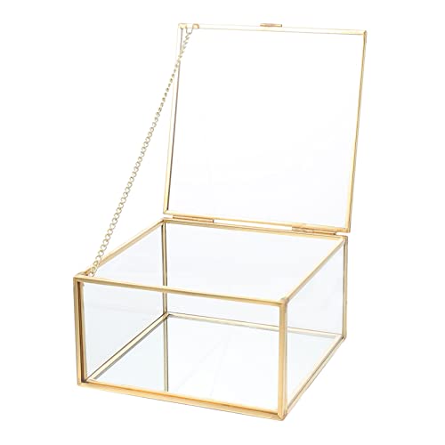 PRETYZOOM Transparente Schmuckaufbewahrungsbox mit Deckel Kleine Glasvitrine aus Robustem Multifunktional für Ohrringe Armbänder Ringe zur Schmuckorganisation Dekoratives Display von PRETYZOOM