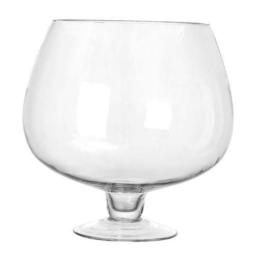 PRETYZOOM Weinglas-Aquarium Flasche Schreibtisch-Aquarium Sauerteig Servierschale Fischglas Für Terrarium Kelch-fischglas Terrarium Pflanzentopf Riese Wassertank Terrarienschale Transparent von PRETYZOOM