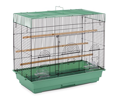 PREVUE PET PRODUCTS SP1804-4 Flight Cage, grün/schwarz von PREVUE PET PRODUCTS