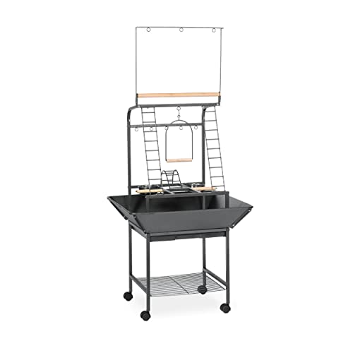 Prevue Pet Products Kleiner Papageien-Spielständer mit Rädern, Vogelständer, Aktivitätsspielcenter mit Sitzstangen und Leitern, Spielplatz für drinnen und draußen, für Vögel mit Schaukel, schwarzes Prevue Pet Products Kleiner Papageien-Spielständer mit Rädern, Vogelständer, Aktivitätsspielcenter mit Sitzstangen und Leitern, Spielplatz für drinnen und draußen, für Vögel mit Schaukel, schwarzes von PH Prevue Hendryx