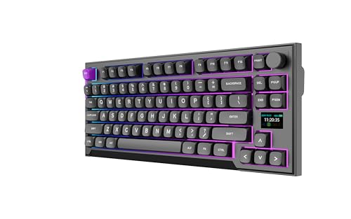 PREYON Silent Claw TKL Mechanische Gaming-Tastatur – Gasket Mount, RGB, Hot-Swap Gateron Pro, Smart Display, 800h Akku, Lautstärkeregler, 3 Verbindungsmodi, USB-C PREYON Silent Claw TKL Mechanische Gaming-Tastatur – Gasket Mount, RGB, Hot-Swap Gateron Pro, Smart Display, 800h Akku, Lautstärkeregler, 3 Verbindungsmodi, USB-C von PREYON