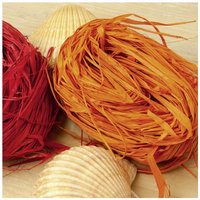 Prima Flora - Bast rot 20 g Bindedraht von PRIMA FLORA