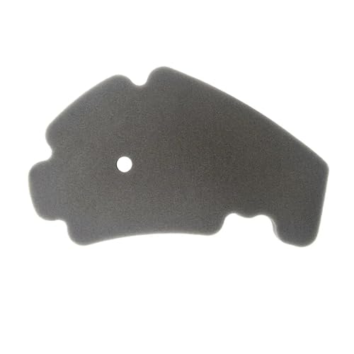 PRIMUZ Motorrad-Luftfilter, kompatibel mit DERBI GP1 125 GP1 MAX 250 Rambla 125 Rambla 250 Rambla 300 von PRIMUZ