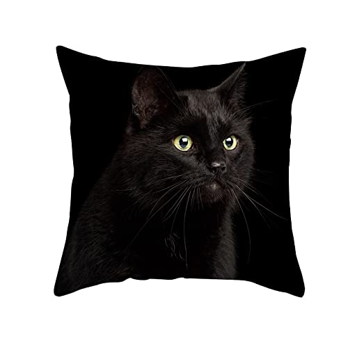 PRIOKNIKO Kissenbezug Schwarze Katze Bedruckte Pfirsich Haut Tier Kissen bezug, TPR412-4,45 * 45cm (ohne Kissen Kern) von PRIOKNIKO