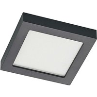 Prios - LED-Deckenlampe Alette, schwarz, 18 w, cct, dimmbar - Schwarz, weiß von PRIOS