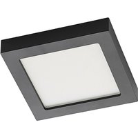 Prios - Alette LED-Deckenlampe, schwarz, cct, 24 w - Schwarz, weiß von PRIOS