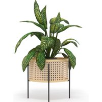 Runder Bodenpflanztopf - Boho-Stil - Fusión Naturfarben Runder Bodenpflanztopf - Boho-Stil - Fusión Naturfarben von PRIVATEFLOOR