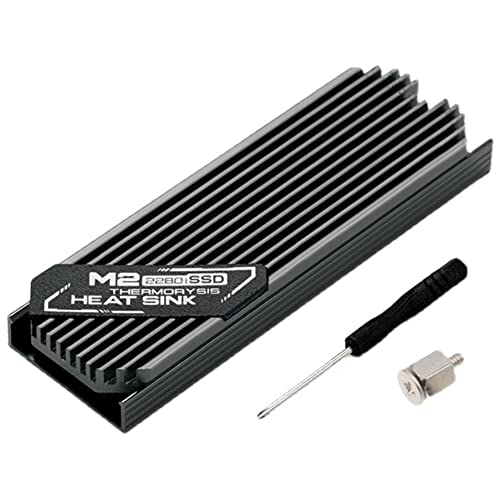 PRIZOM Kühlkörper, ultradünn, M.2 SSD M2 2280, Halbleiter-Festplatte, Kühlung, Thermokissen, Silikon, HEAT_SINK, Chassismontage, 00317411A2, 73 x 24.4 x 9.6 mm von PRIZOM