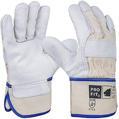 PRO FIT Premium Arbeitshandschuh ODIN 12er Pack – Rindvollleder Handschuhe, Profi Forst Handschuh, Schutzhandschuhe mit Canvas-Stulpe - Natur, Gr. 8 von PRO FIT