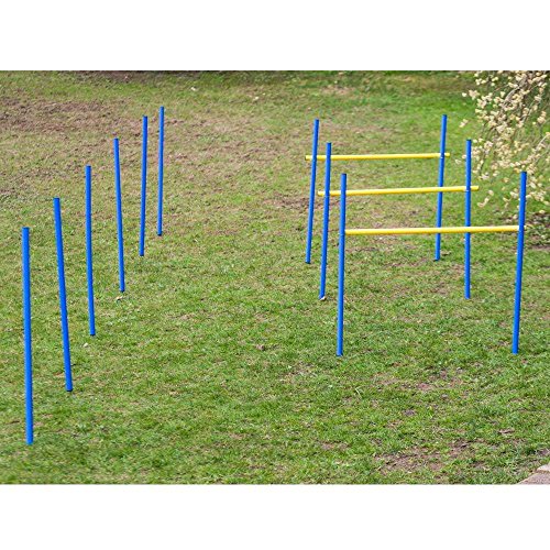 Procyon Dog Agility Trainings-Set 2 für Anfänger Procyon Dog Agility Trainings-Set 2 für Anfänger von Procyon