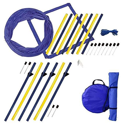 Procyon Dog Agility XXL-Set Procyon Dog Agility XXL-Set von Procyon