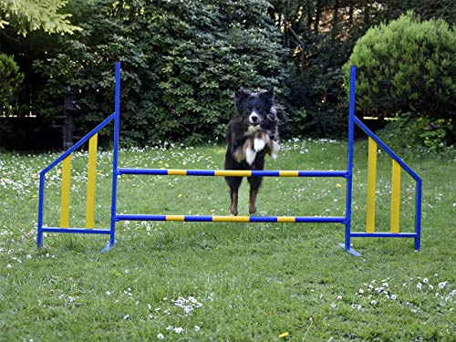 PROCYON Agility Hürde für Hunde Profi-Training-Set FCI konform Hürden Hundeport PROCYON Agility Hürde für Hunde Profi-Training-Set FCI konform Hürden Hundeport von PROCYON