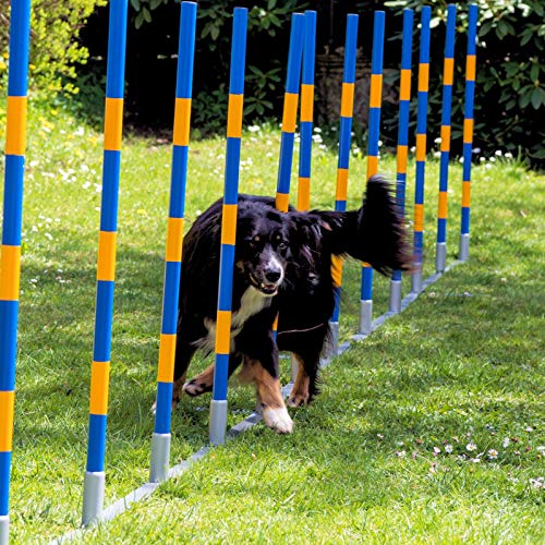PROCYON Hunde Agility Profi-Slalom Set Doggy PROCYON Hunde Agility Profi-Slalom Set Doggy von PROCYON