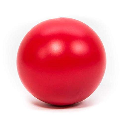 PROCYON Treibball PROCYON Treibball von Procyon