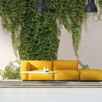 Profhome - Fototapete 392271 heißgeprägte Vliestapete glatt 3D matt grün creme-weiß 3,71 m x 2,8 m Profhome - Fototapete 392271 heißgeprägte Vliestapete glatt 3D matt grün creme-weiß 3,71 m x 2,8 m von PROFHOME