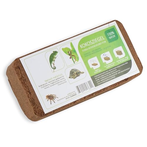 ProFlora® Kokoserde Terrarium Bodengrund gepresst - Biologisch abbaubare, torffreie Erde aus Kokosfasern (6 Stück) von ProFlora