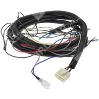 Elektrische Baugruppe für maori MP824M Rasentraktor – 035010 Elektrische Baugruppe für maori MP824M Rasentraktor – 035010 von PROGREEN