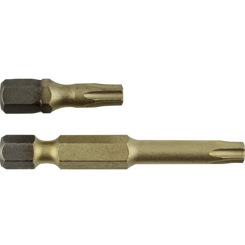 Projahn STAR Bit 1/4" ZrN (Zirkon-Nitrit) für Innen-TX-Schrauben T 15 x 50 mm - 10er Pack von PROJAHN Präzisionswerkzeuge GmbH