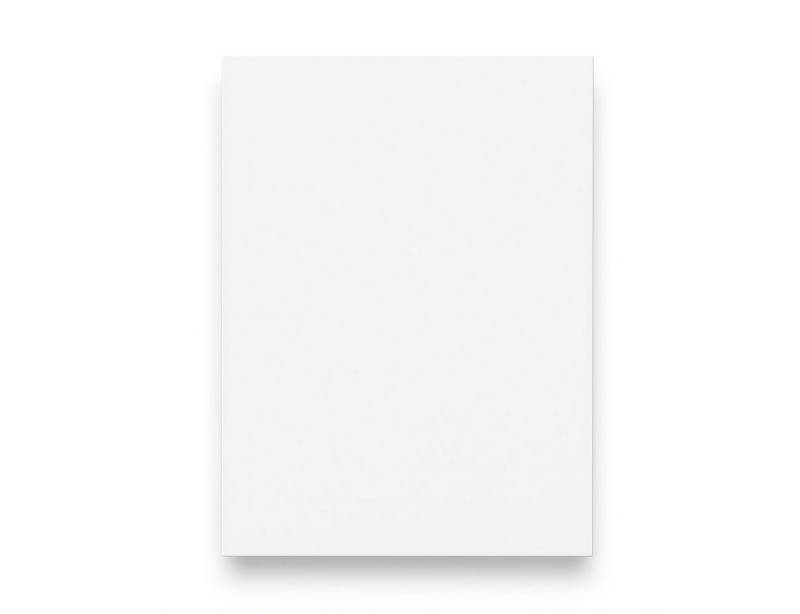 PROKIRA Möbelblende Möbel-Front für vollintegrierten Geschirrspüler Kühlschrank 60cm weiß von PROKIRA