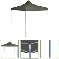 The Living Store Profi-Partyzelt Faltbar 2×2 m Stahl Anthrazit - Outdoor Event Zelt - Partyzelt - Gartenparty - Grillplatz - Festivalzelt von PROLENTA PREMIUM