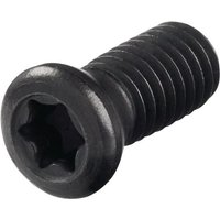 Spannschraube WS0512 Größe T20 Spannschraube WS0512 Größe T20 von PROMAT
