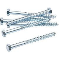 Lennie - Verzinkt Weiß - Ø10x120 - Packung mit 50 Stück - TIR1012002B von PROMECA