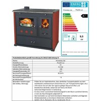 Eek a+ Kaminofen mit Backfach und Herdplatte Pracktik Lux Rot links Holzofen 9,5 kW Kamin Ofen Dauerbrandofen Werkstattofen Schwedenofen Hüttenofen von PROMETEY