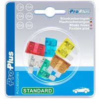 Flachsicherungen standard sortiert 6 stuck im blister von PROPLUS