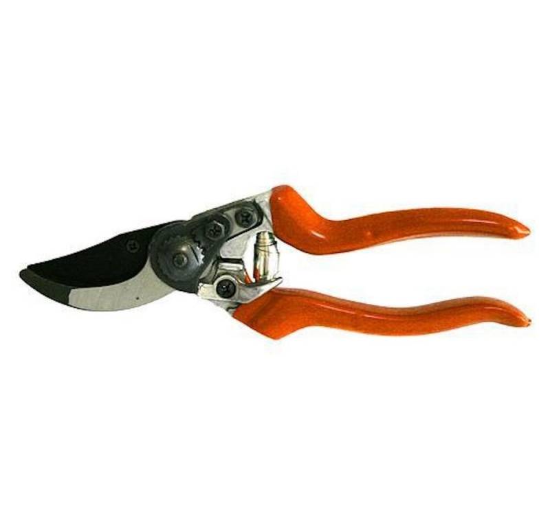 PROREGAL® Astschere Gartenschere 210mm, Schneidkappe. 20mm von PROREGAL®