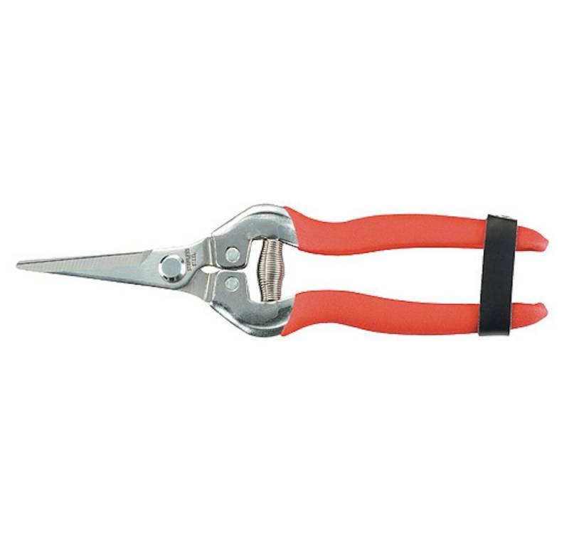 PROREGAL® Astschere Obst-Gartenschere 185mm Premium, Straight Blade von PROREGAL®