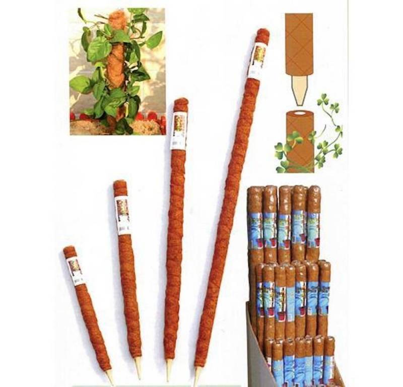 PROREGAL® Rankgitter Pflanzstab Koko 4.0x040cm von PROREGAL®