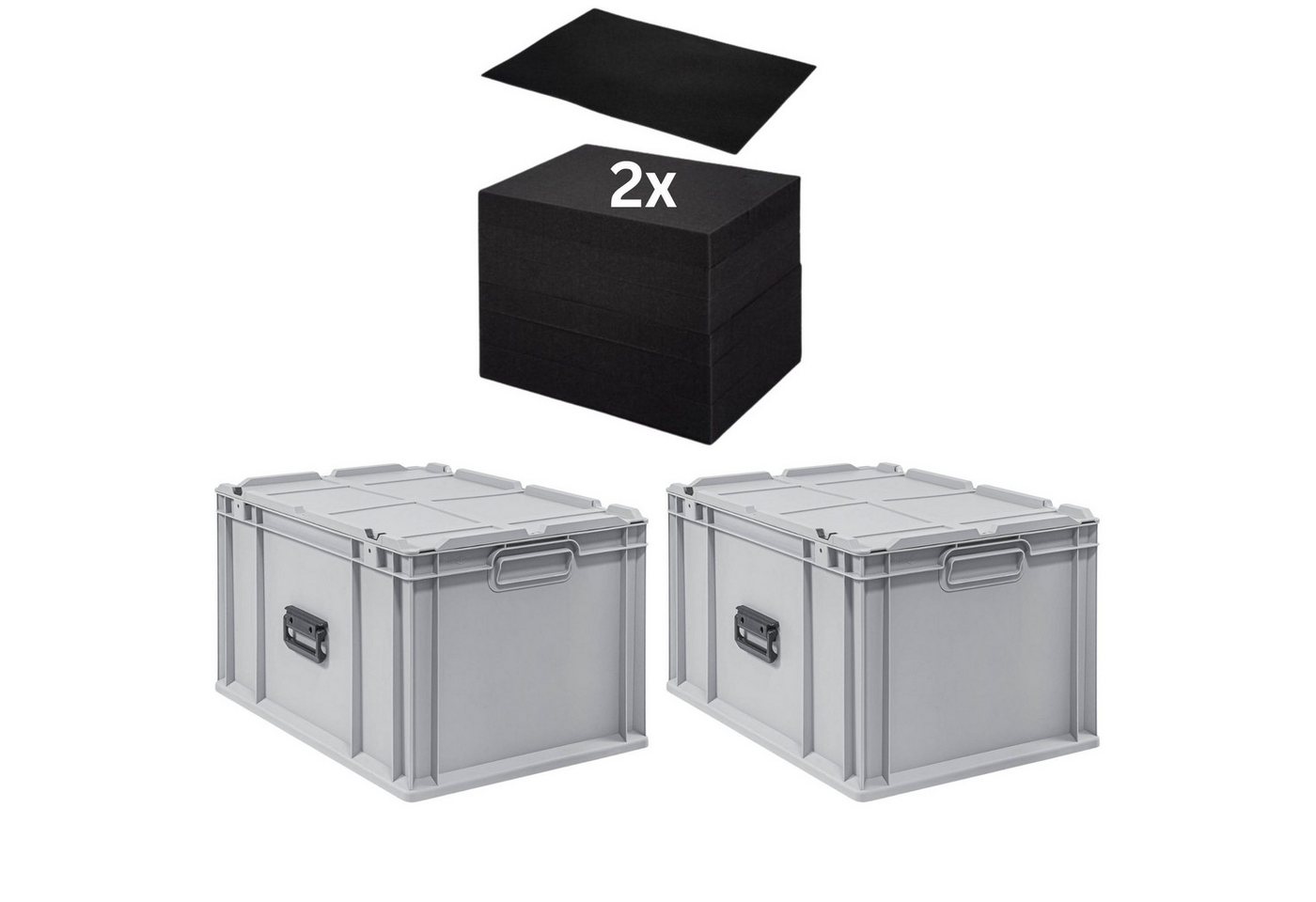 PROREGAL® Stapelbox SparSet Eurobox NextGen Portable Rasterschaumstoff Schaumstoffeinlage (2 St) von PROREGAL®