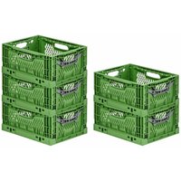 SuperSparSet 5x Stabile Profi-Klappbox Chameleon in Industriequalität HxBxT 18x30x40cm 17 Liter klappbar stapelbar durchbrochen lebensmittelecht von PROREGAL - AUFBEWAHRUNG FÜR PROFIS